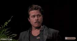 brad-pitt-next-question-next.gif