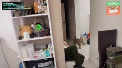 lyuluy.mp4