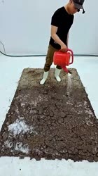 cleansatyscarpetrug-20250629-0001.mp4