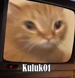 17511532458010.png
