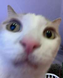 IMG20250127183532021.jpg