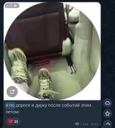 Screenshot20250731-134332.png