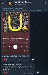 Screenshot20250804-163039.jpg