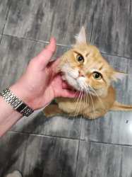 IMG20250629174817388.jpg