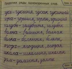 1647943419890.jpg