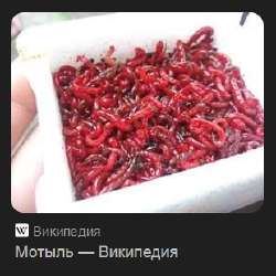 мотыль.jpg