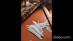 4670865.mp4