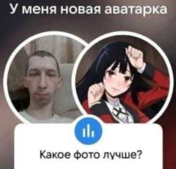 7068985.jpeg