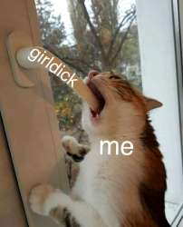 1751275193717.jpg
