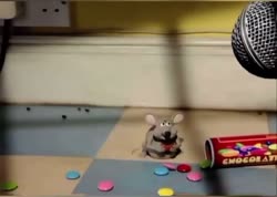 1648495428254.mp4
