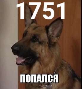 1702146297342.png