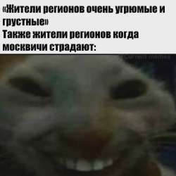 17509319221766.webp