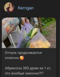 Screenshot20250630135931Chrome.jpg