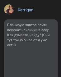 Screenshot20250630232621Chrome.jpg