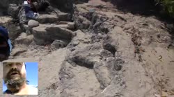 video-99126464456257805-720.mp4
