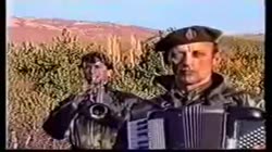 234.mp4