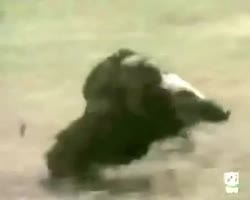 1751471037888.webm