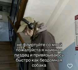 175210505319837582.jpg