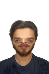 prodo.png