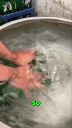 1670307392907.mp4