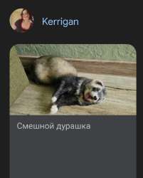 Screenshot20250701114944Chrome.jpg