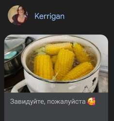 Screenshot20250701212839Chrome.jpg