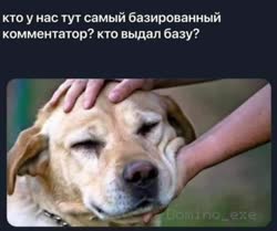 VID20250629194717103.mp4