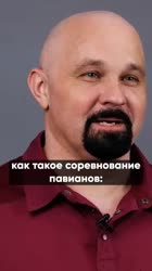 videoplayback (12).mp4