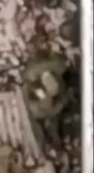 video.mp4