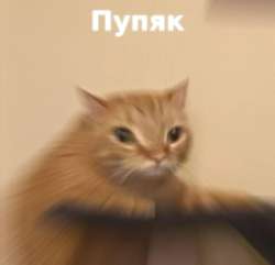 пупяк.jpg