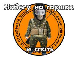 ЦыпаНабегатор-1.jpg