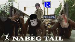 nabegtail.jpg