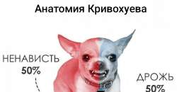 IMG20250721170412.jpg