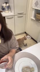 1621577777176.mp4