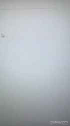 17512030381330.mp4