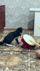 бася.mp4