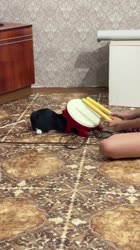 дубася.mp4