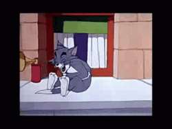 tom-rolling-on-the-floor-laughing-3wccunh1pgm52lqw.gif