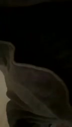 1751558263569.mp4