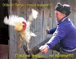 piopio.png
