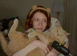 cat.png
