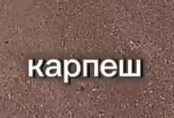 175152166240268009.jpg
