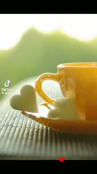25220173981079856726.mp4