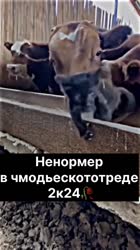 1639288671070.mp4