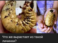 Screenshot20250703-235025Google.jpg
