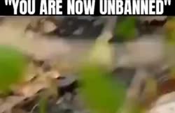 16900382807290.mp4