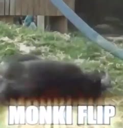 16636984715140.mp4