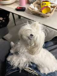 IMG0284.jpeg