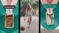 17250324323561.webm