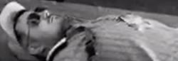 alertorig (9).webm